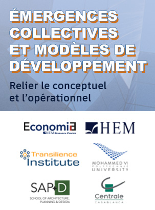 Séminaire : Émergences collectives et modèles de développement, relier le conceptuel et l’opérationnel 